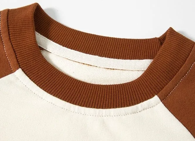 Dinosaur Contrast Color Sweatshirt
