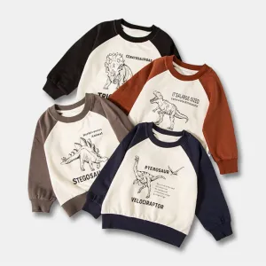 Dinosaur Contrast Color Sweatshirt